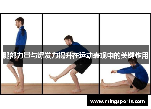 腿部力量与爆发力提升在运动表现中的关键作用