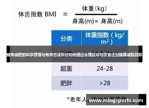 健身减肥的科学原理与有效方法探讨如何通过合理运动与饮食达到健康减脂目标